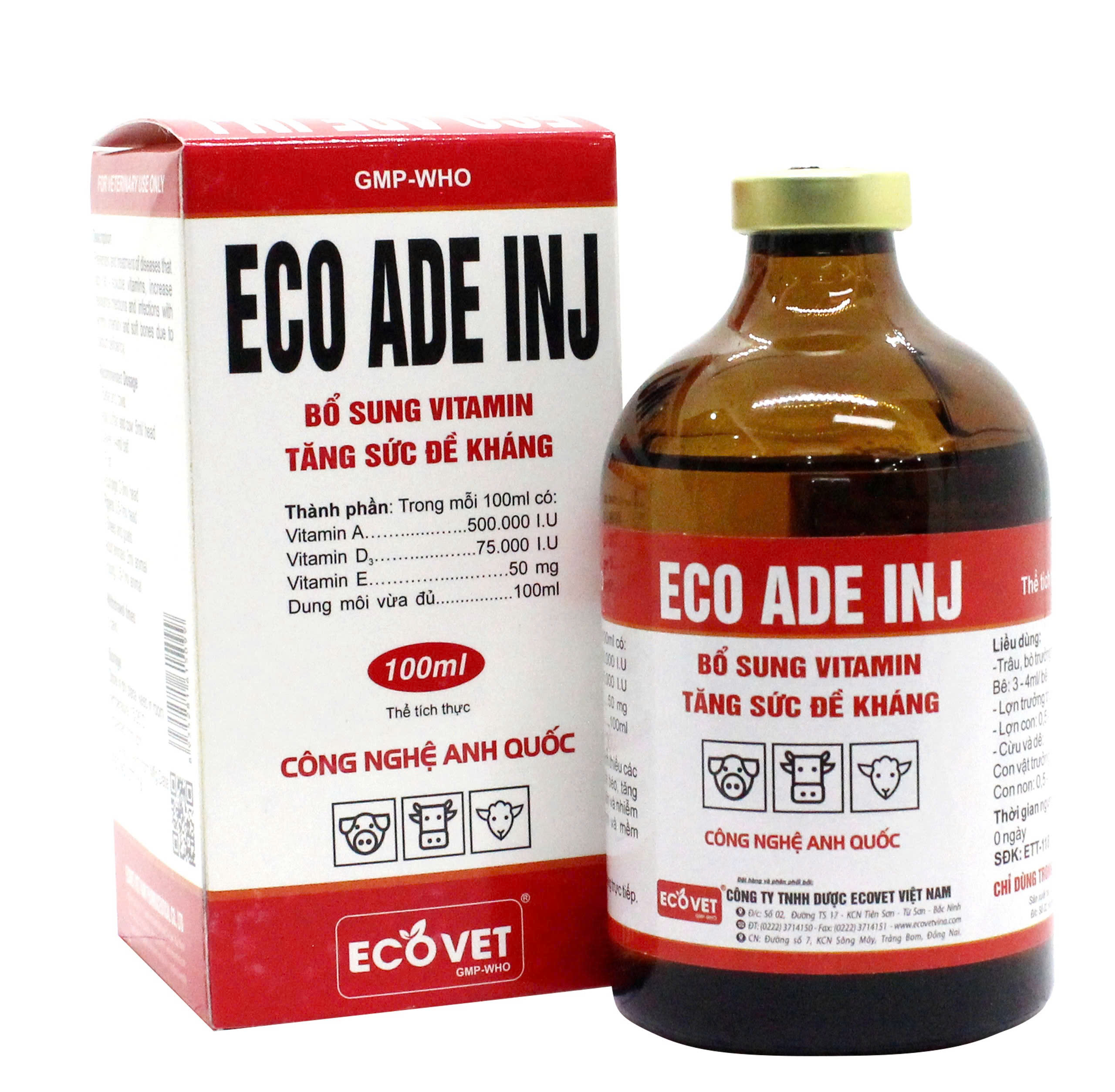 Thuốc tiêm Eco ADE INJ